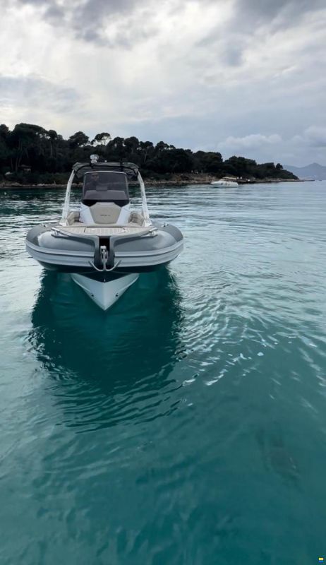 Salpa Soleil 26