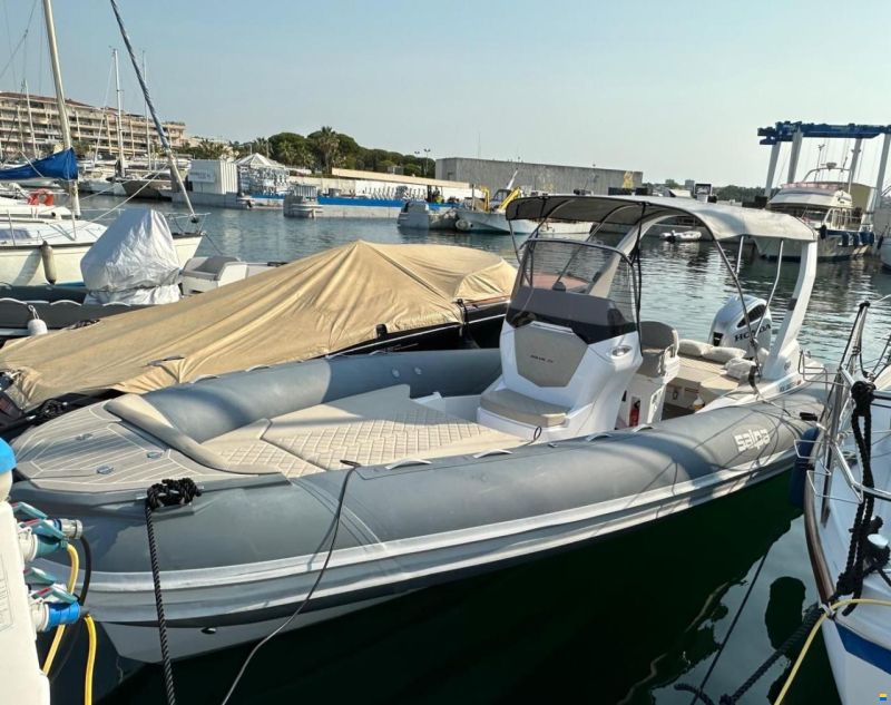 Salpa Soleil 26