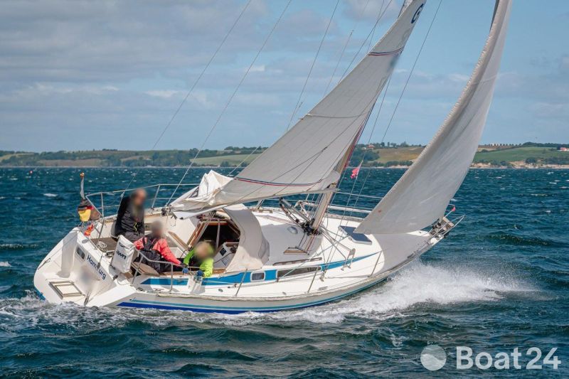 Finngulf 31