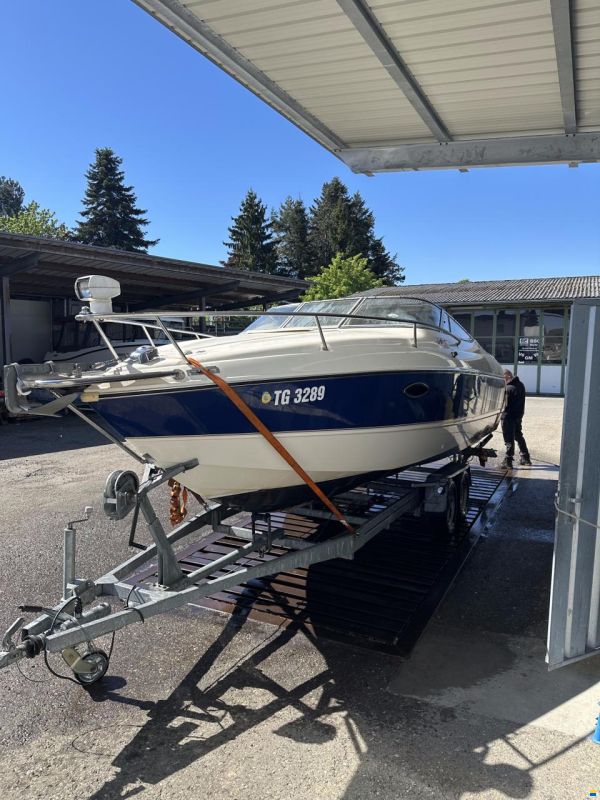 Stingray 240cx