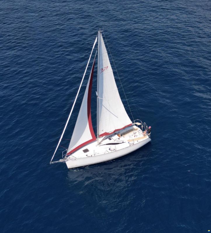 Delphia 28 Sport