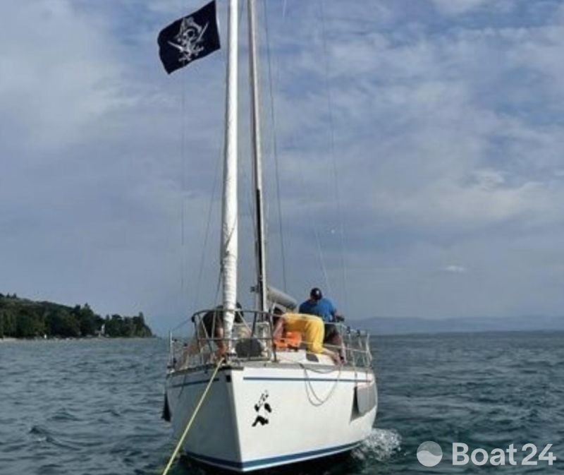 Nordcantieri Panda 31