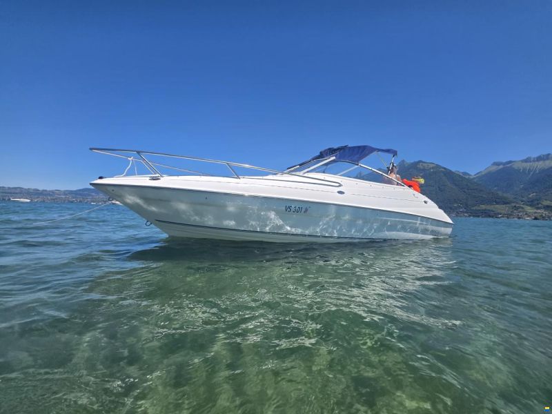 Campion Allante 6251