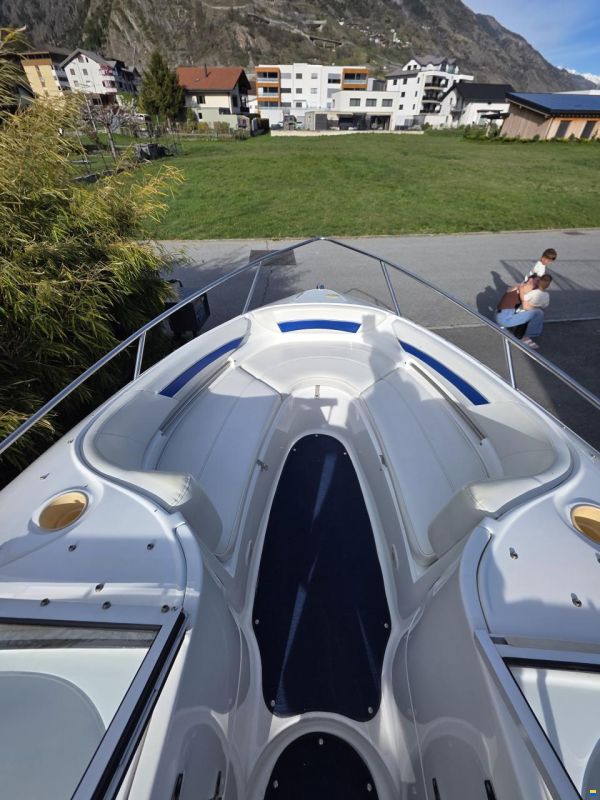 Campion ALLANTE 6251