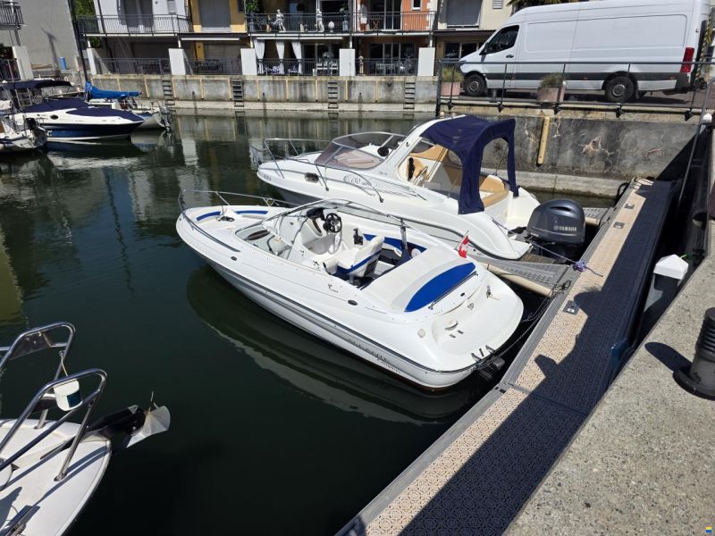 Campion ALLANTE 6251