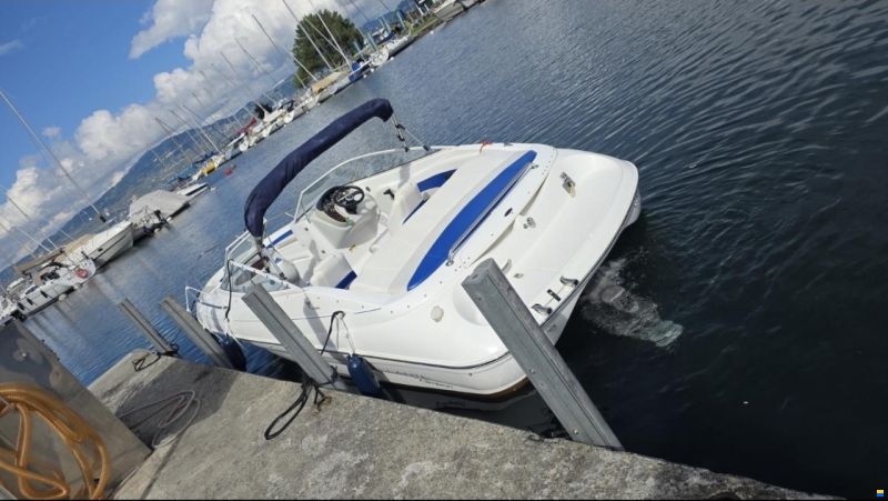 Campion ALLANTE 6251