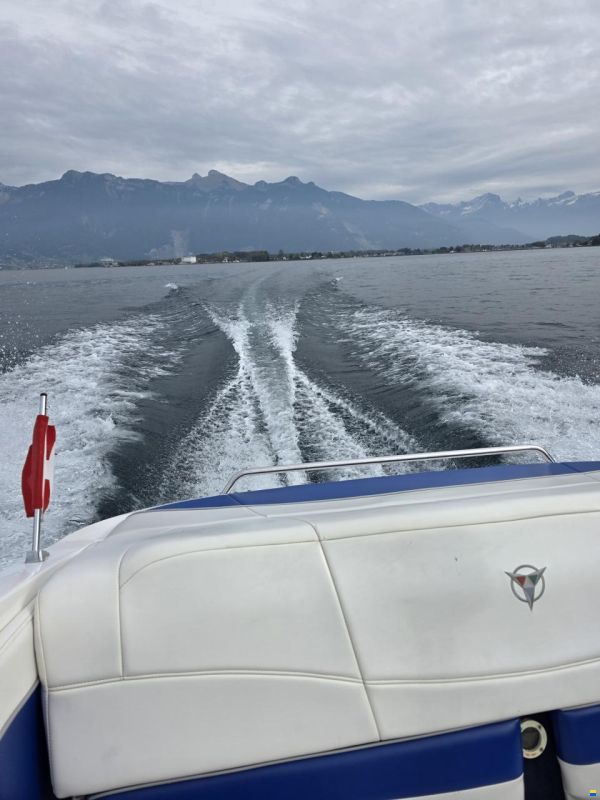 Campion ALLANTE 6251