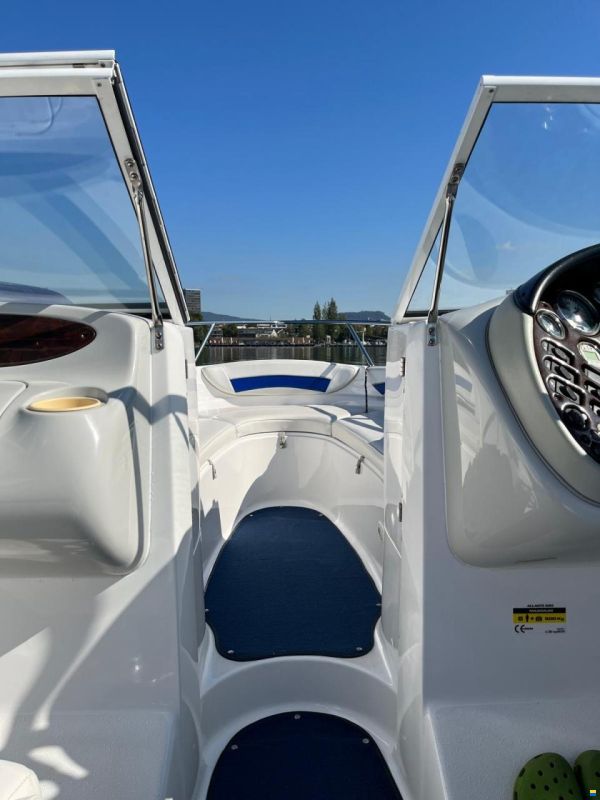 Campion ALLANTE 6251