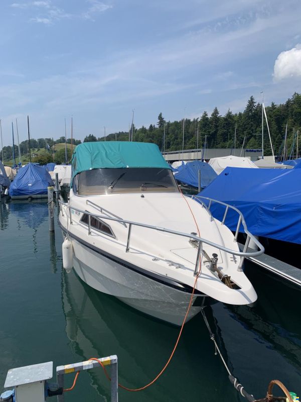 Rio Cruiser 850