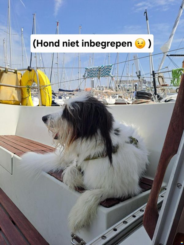 Spirit 32