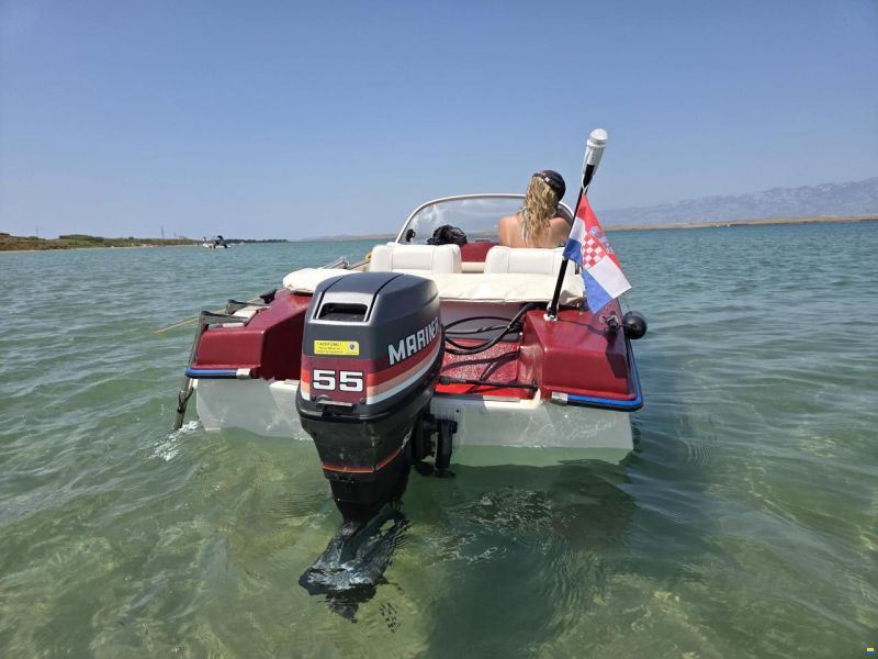 Hille Flamingo 410