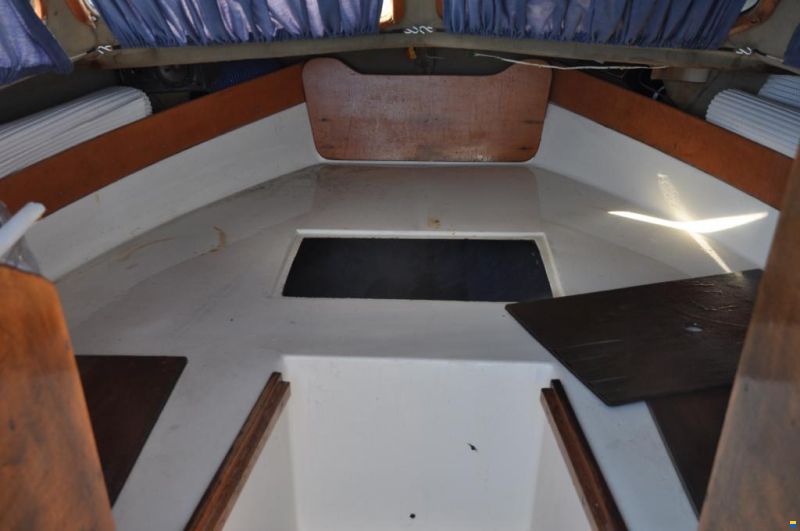 Drago Commander 18