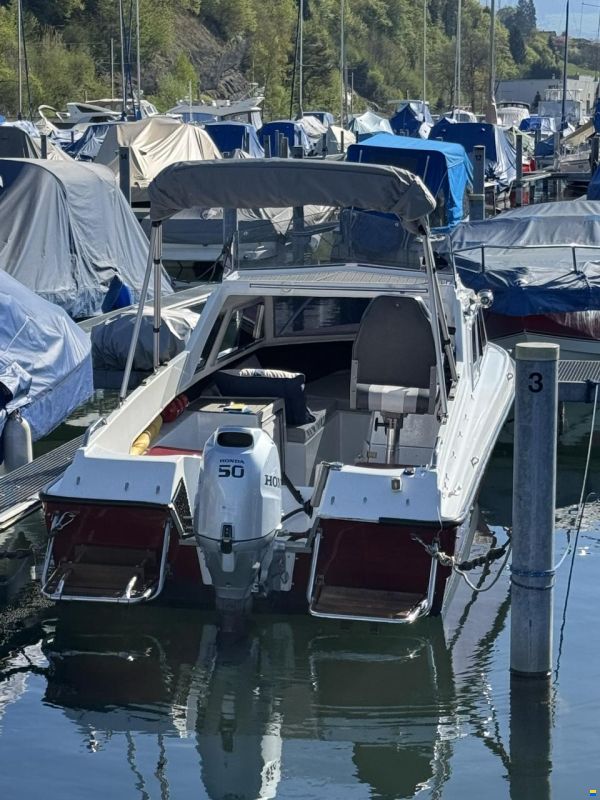Chrisidon Microplus 502