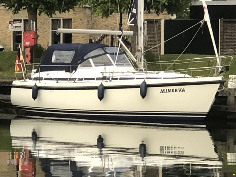 C-Yacht C-10.40 Mittelcockpit