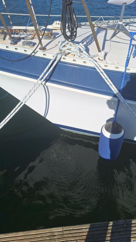 Catalina Morgan Classic 41