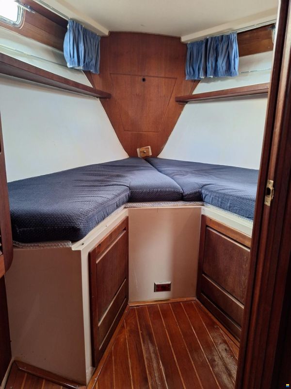 Catalina Morgan Classic 41