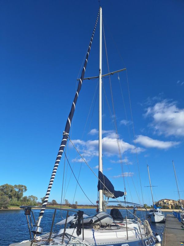 Catalina Morgan Classic 41