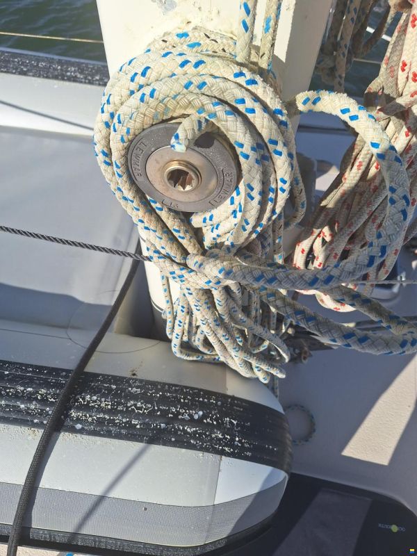 Catalina Morgan Classic 41