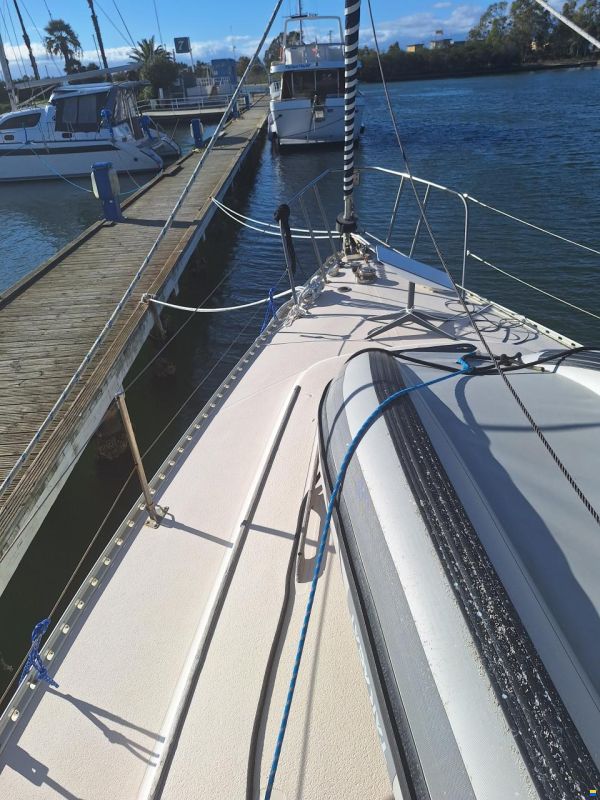 Catalina Morgan Classic 41