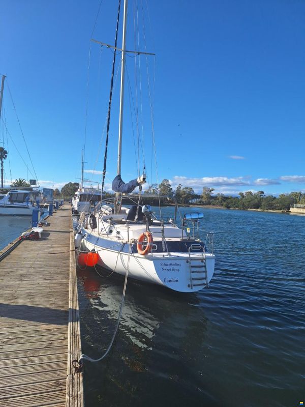 Catalina Morgan Classic 41
