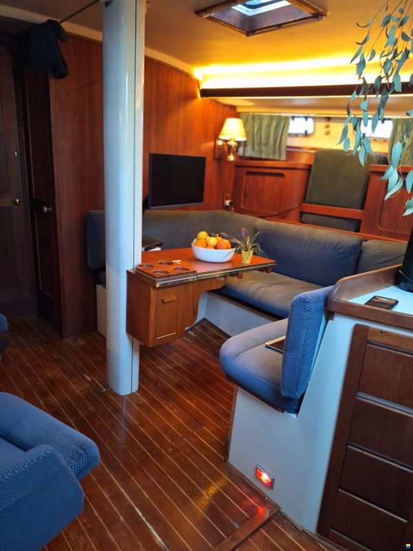 Catalina Morgan Classic 41