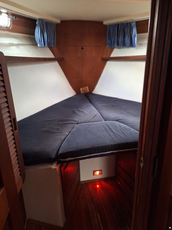 Catalina Morgan Classic 41