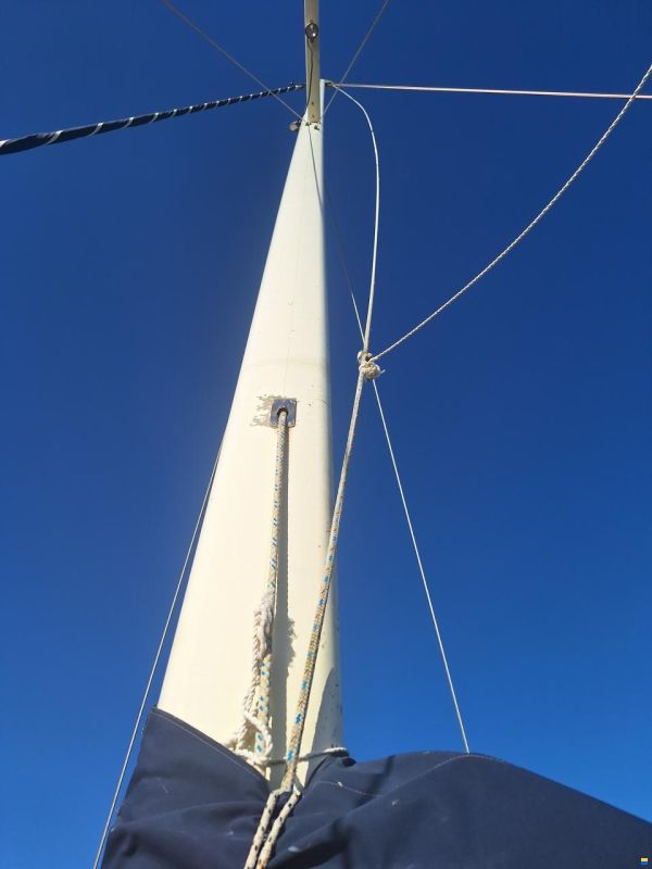 Catalina Morgan Classic 41