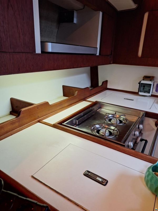 Catalina Morgan Classic 41