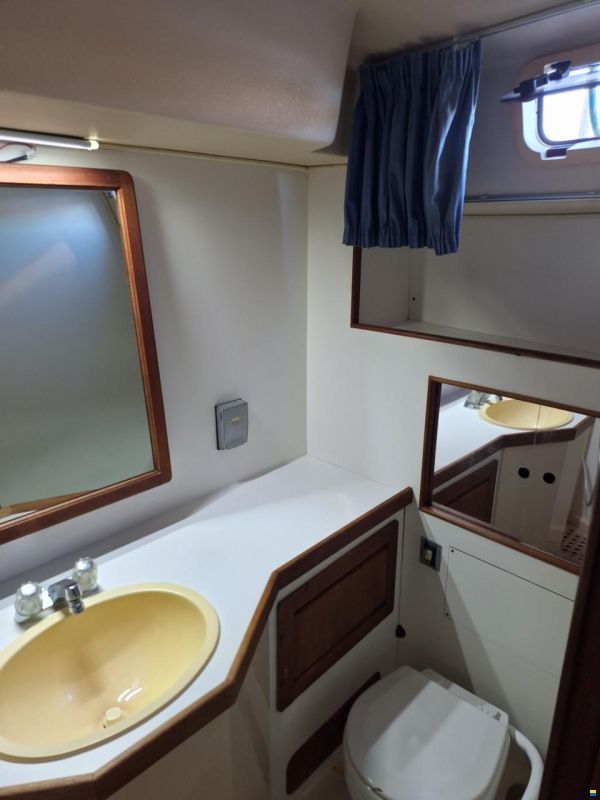 Catalina Morgan Classic 41