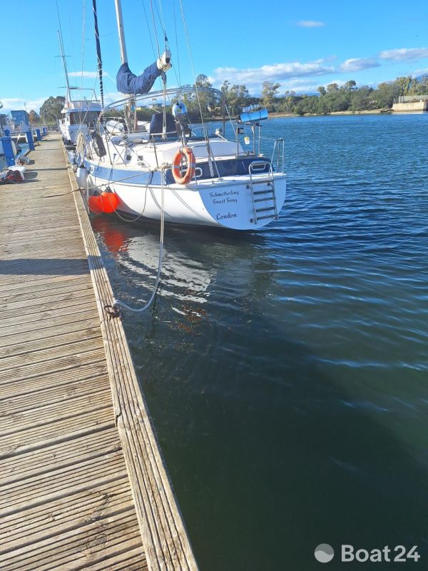 Catalina Morgan Classic 41