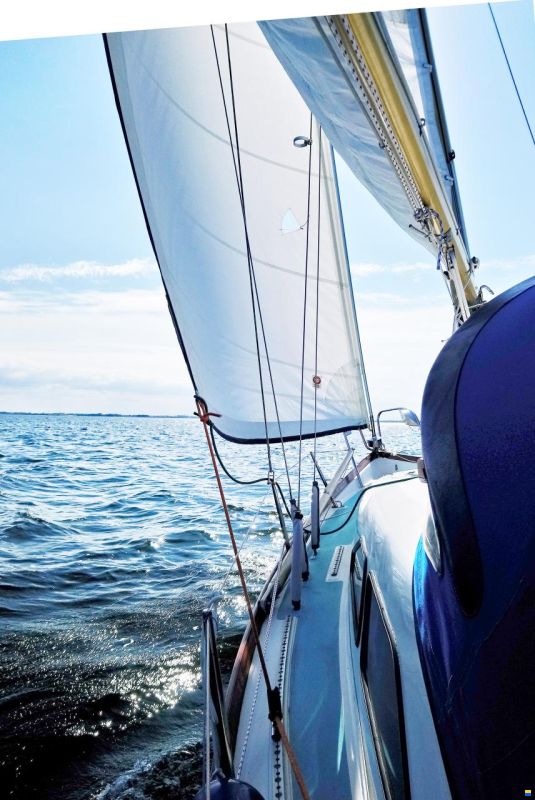 Kingscruiser 29