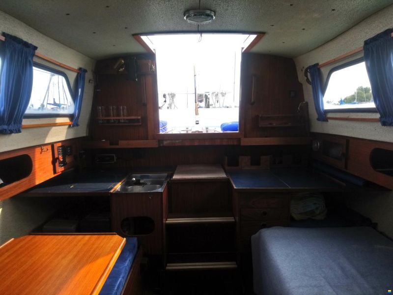 Kingscruiser 29