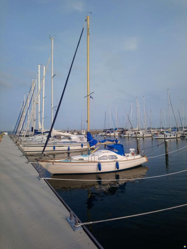 Kingscruiser 29