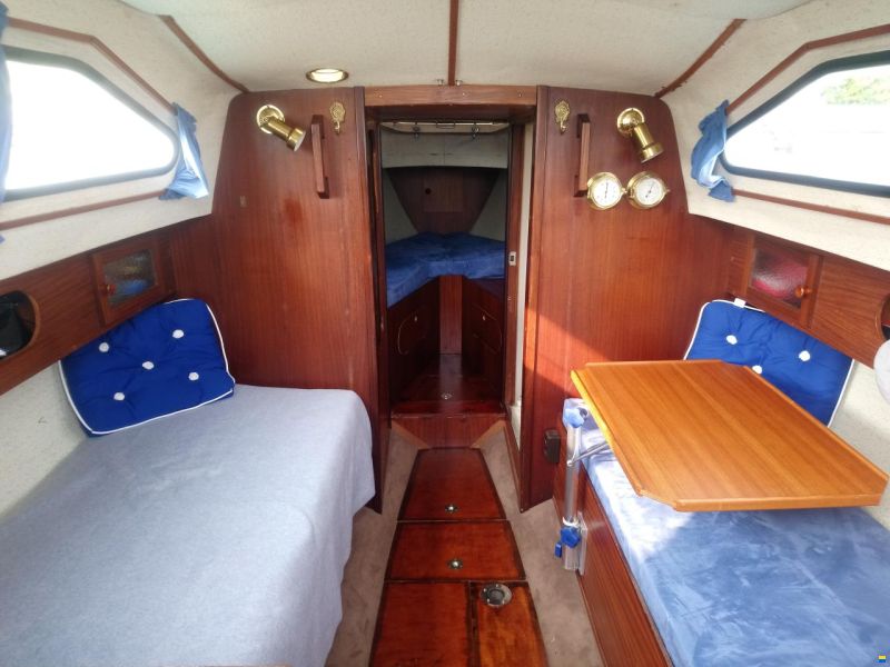 Kingscruiser 29