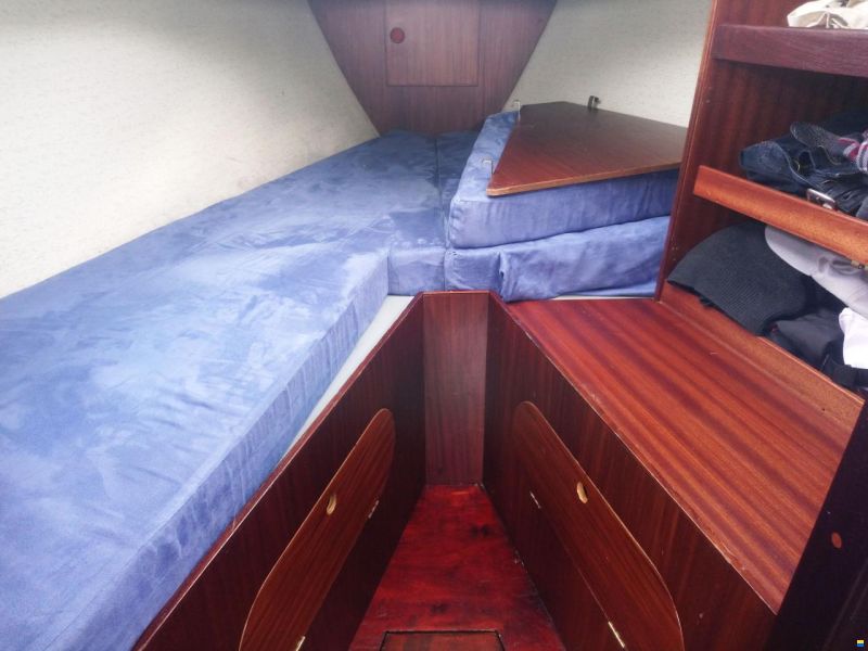 Kingscruiser 29