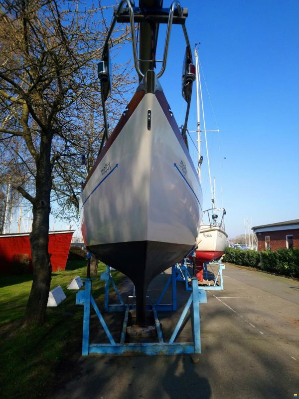 Kingscruiser 29
