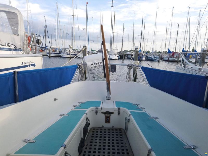 Kingscruiser 29