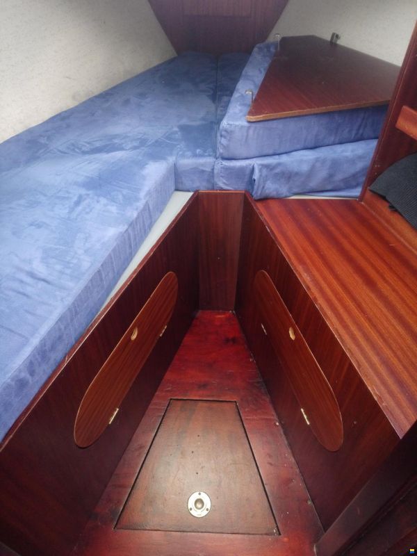 Kingscruiser 29