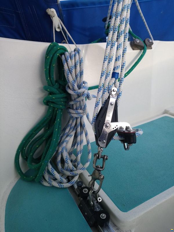 Kingscruiser 29