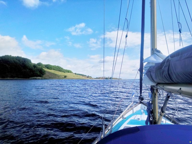 Kingscruiser 29