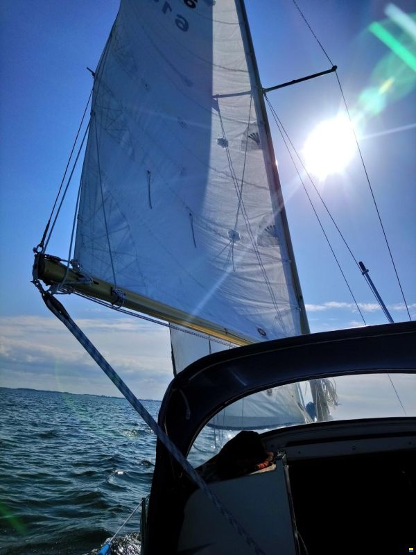 Kingscruiser 29