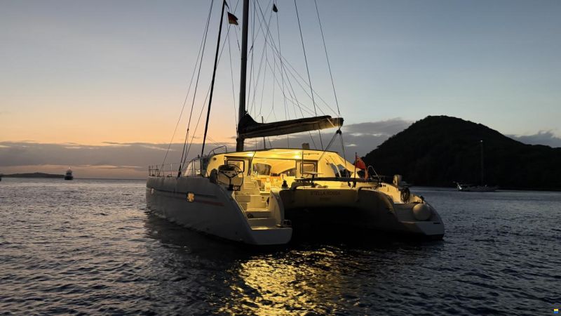 ICE CAT 61 Full Carbon