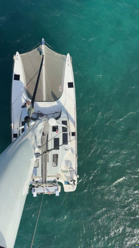 ICE CAT 61 Full Carbon