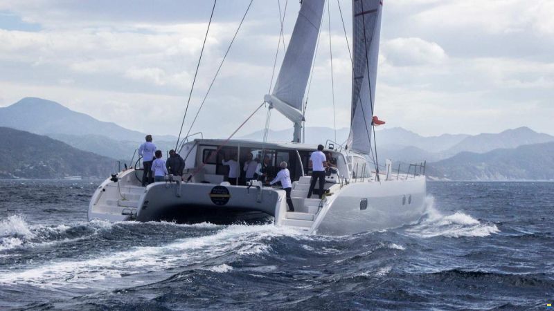 ICE CAT 61 Full Carbon