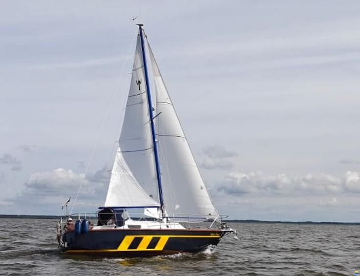 Wibo van Wijk Populair 835