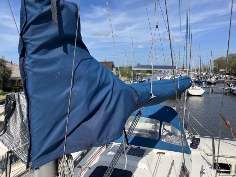 Sunwind 31