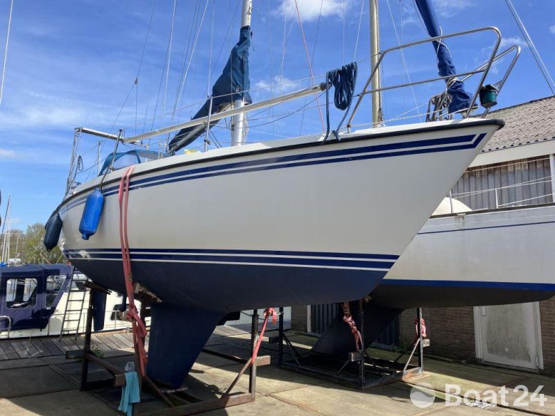 Sunwind 31 0