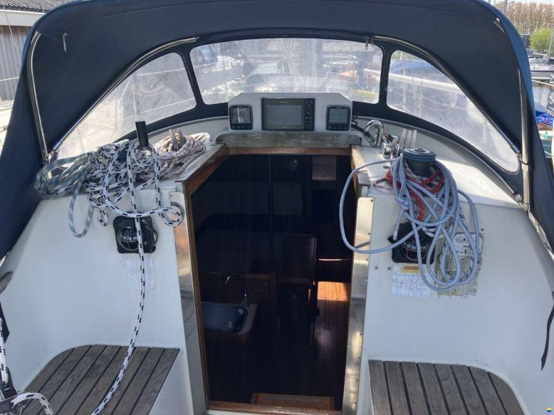 Sunwind 31