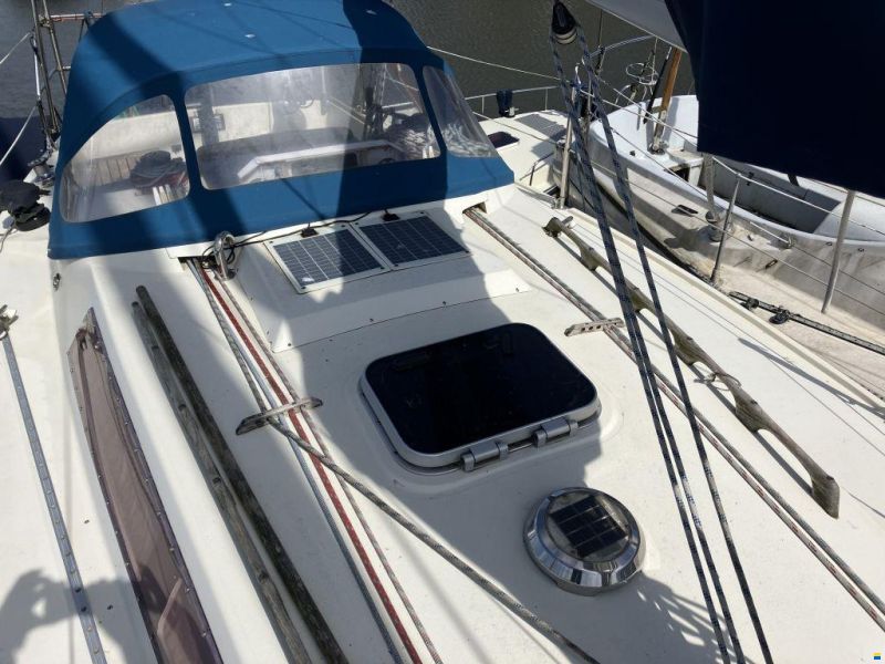 Sunwind 31