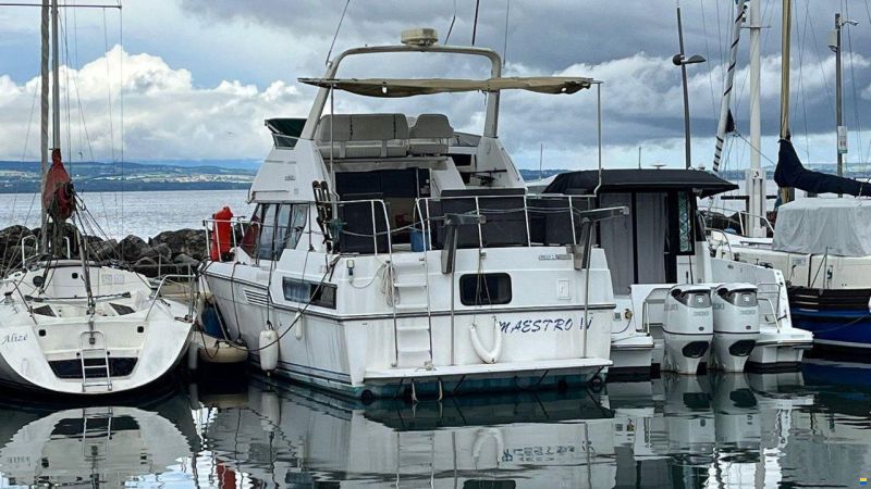 Carver 33